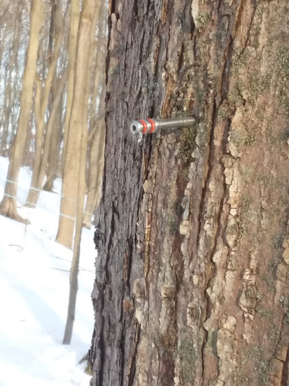 Maple Infinity Spile